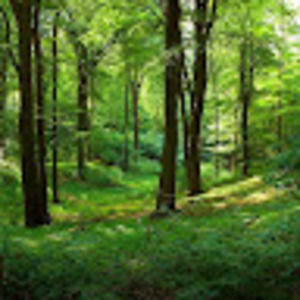 Meet your Posher, Otis